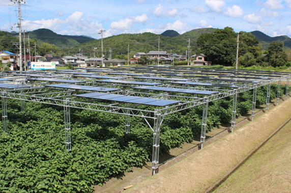 兵庫縣寶塚市與市民共建農地太陽能設施，並將發電收益回饋市民與在地農作利用-說明-1686429342